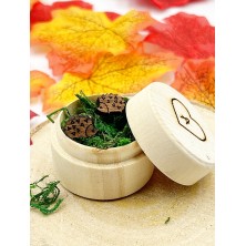 Kolczyki drewniane Jeżyki