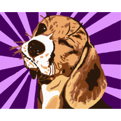 Malowanie po numerach - Beagle