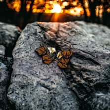 Kolczyki Liski drewniane