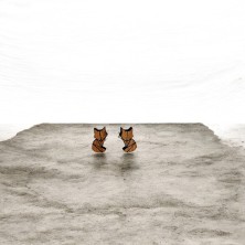 Kolczyki Liski drewniane