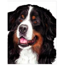 Malowanie po numerach...