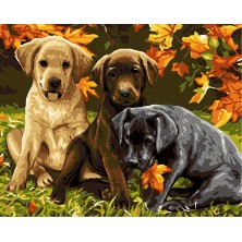 Malowanie po numerach...