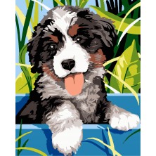 Malowanie po numerach...