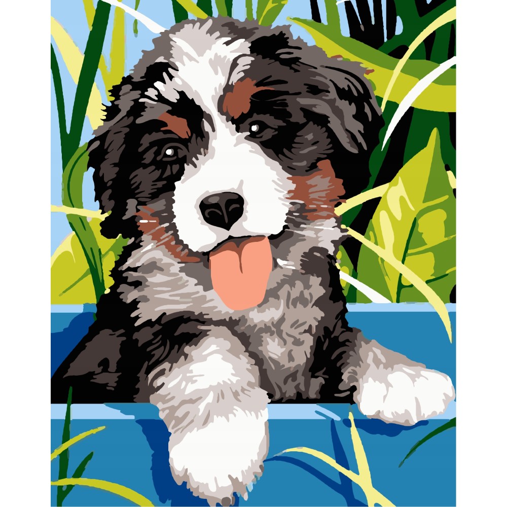 Malowanie po numerach Berneńczyk