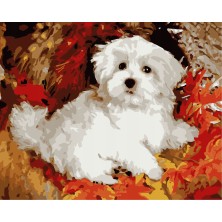 Malowanie po numerach...