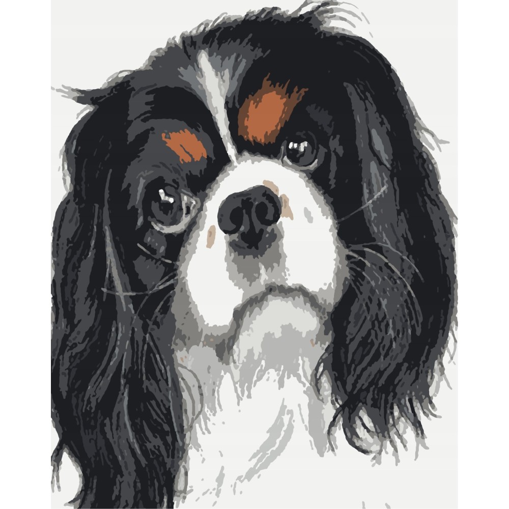 Malowanie po numerach King Charles Spaniel