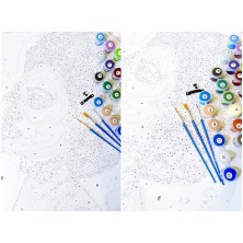 Malowanie po numerach - Frida Kot