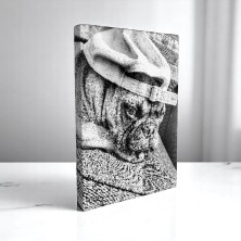 Kropkowanie dotting obraz...