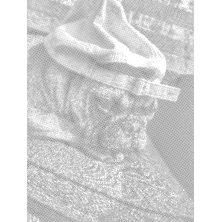 Kropkowanie dotting obraz ze zdjęcia czarno-biały