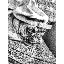 Kropkowanie dotting obraz ze zdjęcia czarno-biały