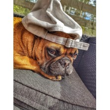 Kropkowanie dotting obraz ze zdjęcia czarno-biały