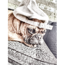 Kropkowanie dotting obraz ze zdjęcia kolorowy