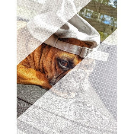 Kropkowanie dotting obraz ze zdjęcia kolorowy