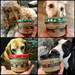 Świeca RASY PSÓW w słoiku