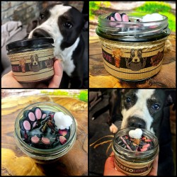 Świeca RASY PSÓW w słoiku