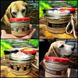 Świeca RASY PSÓW w słoiku