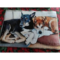 Puzzle z Twoim zdjęciem - fotopuzzle różne rodzaje