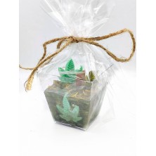 Świeca marihuana cannabis