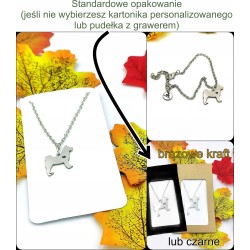 Naszyjnik Freedom srebrny/złoty